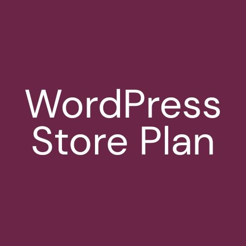 WordPress Store Plan